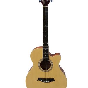 Akusticna - ozvucena cut - gitara